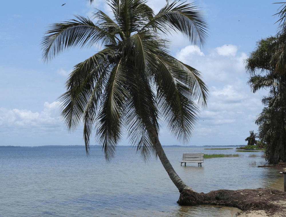 partir en Côte d'Ivoire
