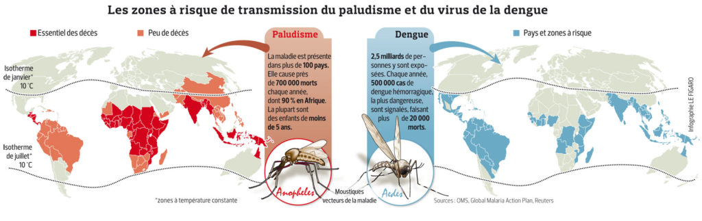 Carte Paludisme Dengue