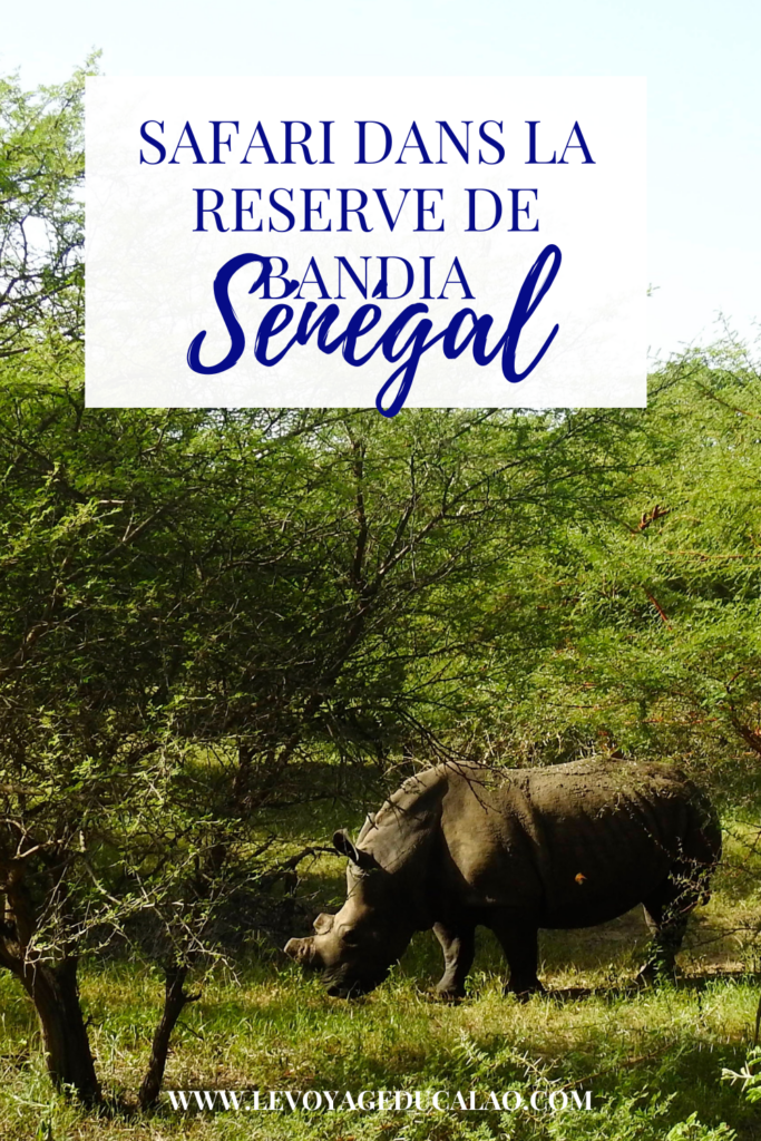 Safari Sénégal Bandia Pinterest