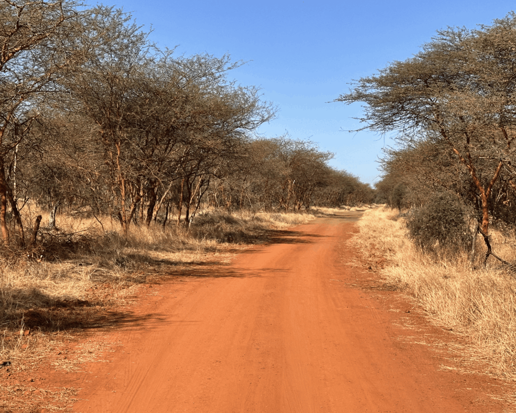 safari réserve Bandia Sénégal