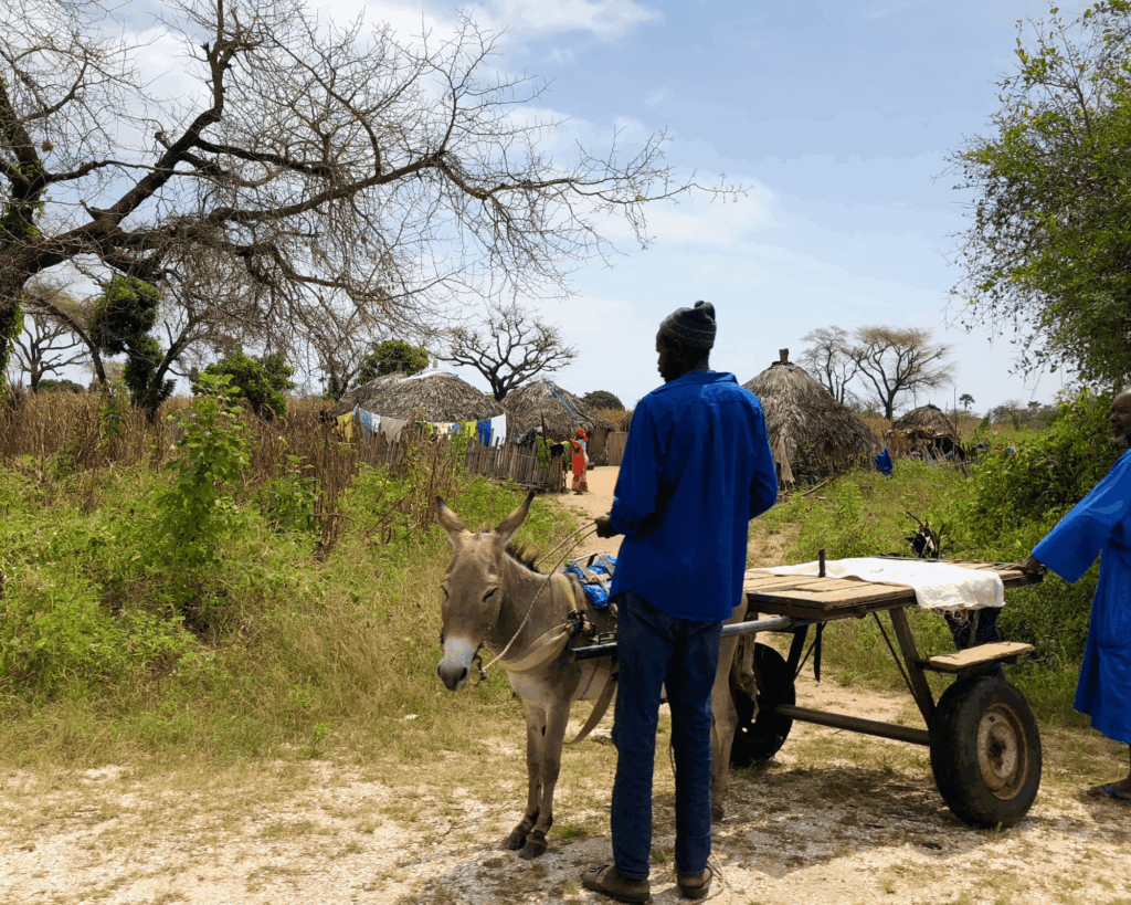Petite Côte au Senegal charette