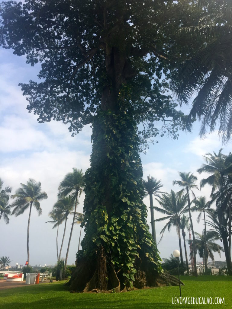 Jardin hôtel Ivoire Abidjan