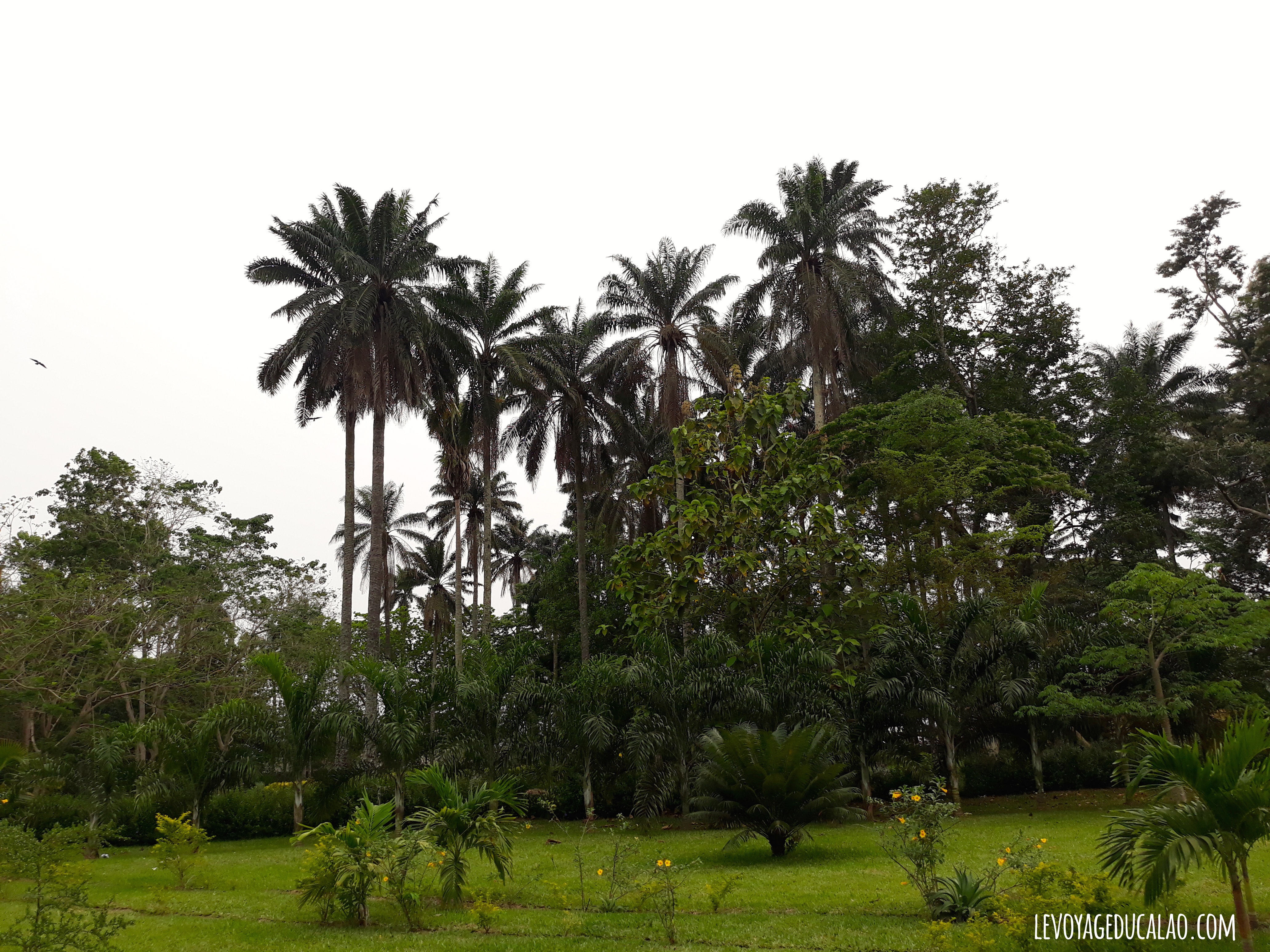 Jardin botanique Abidjan
