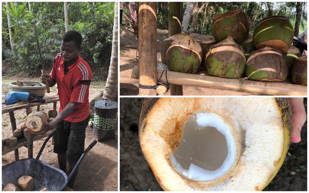 Apéro Coco Bini Abidjan