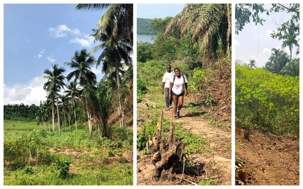 Arrivée Bini Abidjan