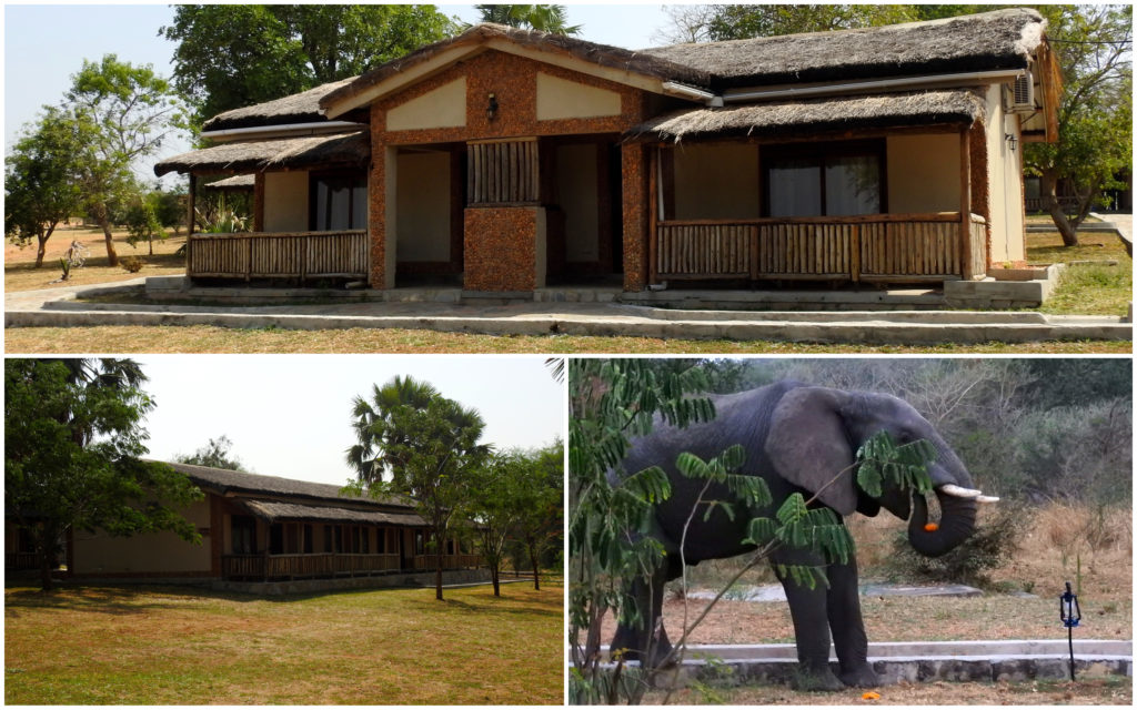 Pakuba Lodge Ouganda 2