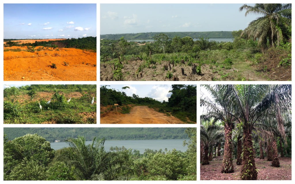 Paysage Bini Abidjan