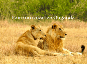 safari ouganda