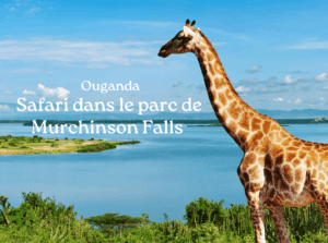 Safari Ouganda Murchinson Falls