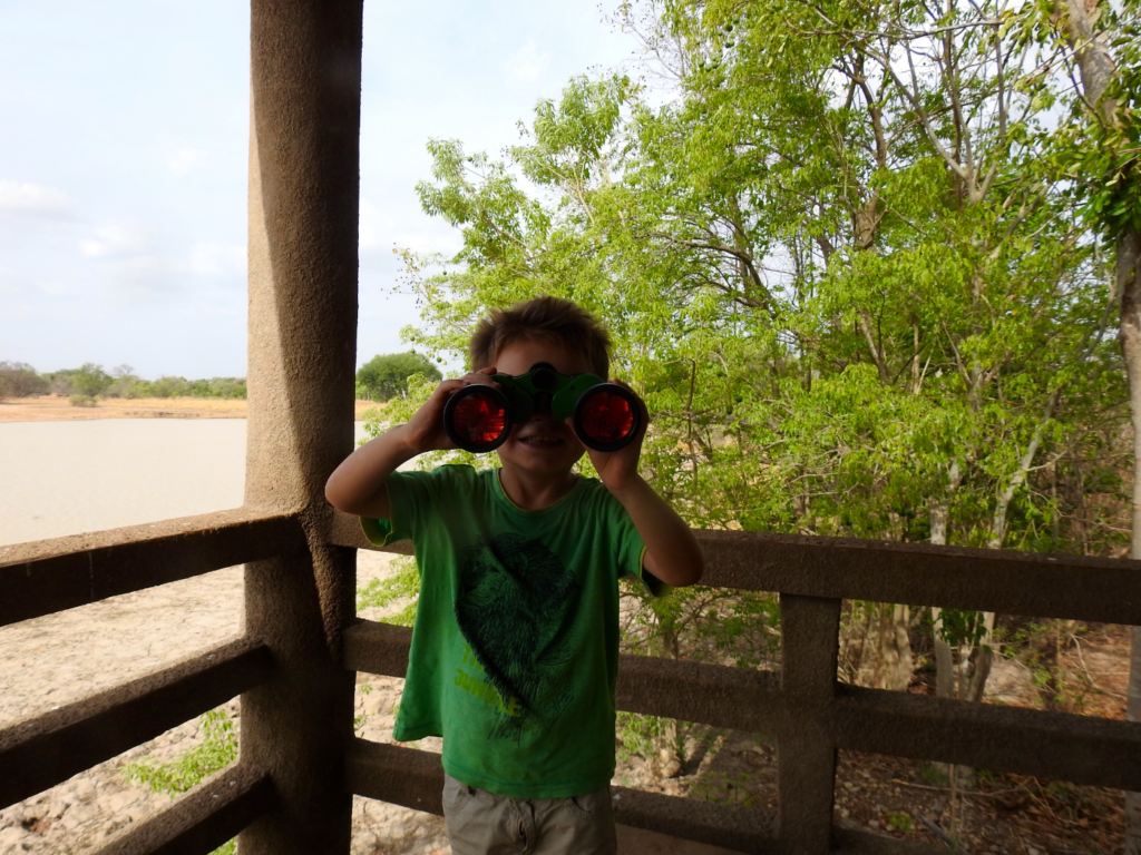 safari avec enfants-bénin-jumelles