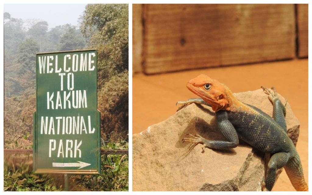 Kakum National Park Ghana