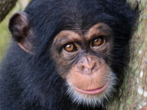 Akatia Abidjan Côte d'Ivoire
