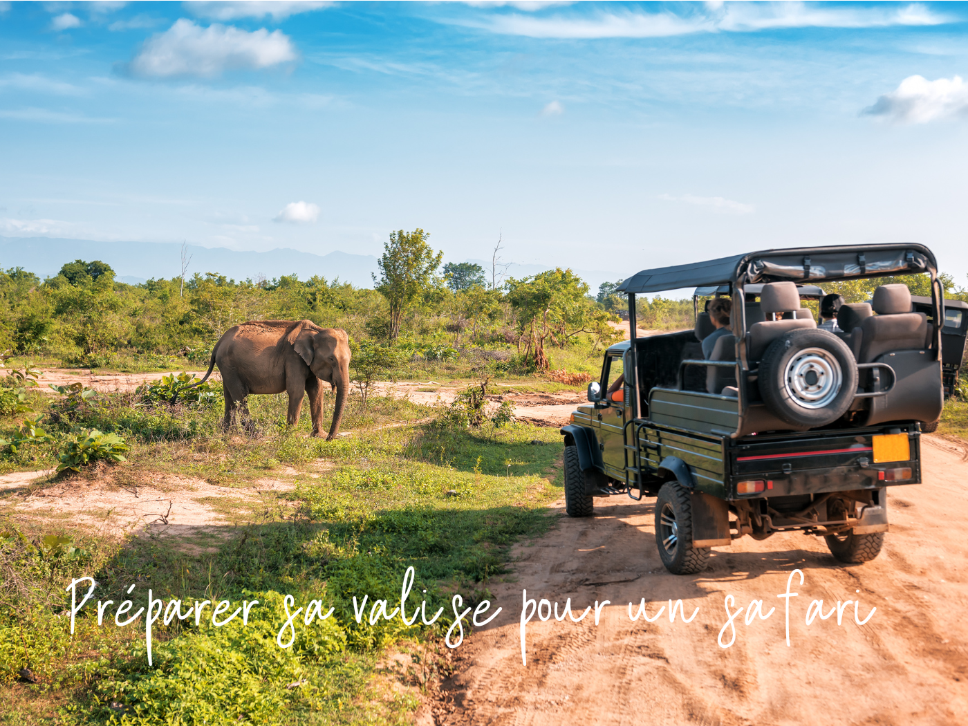 valise-safari-afrique