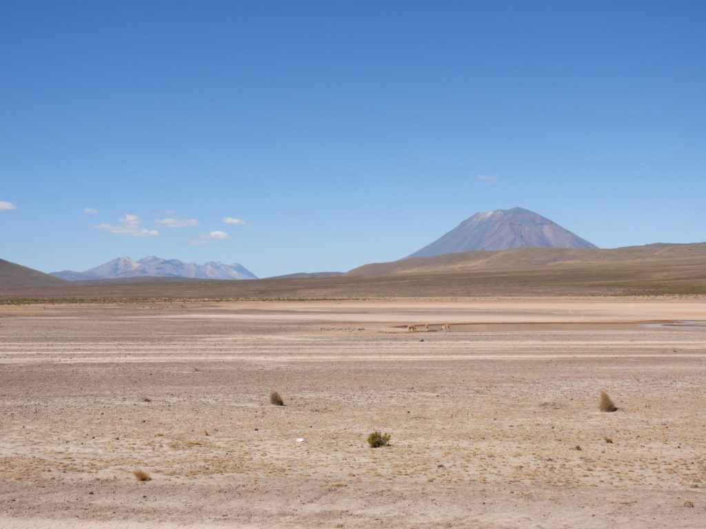 Altiplano Perou