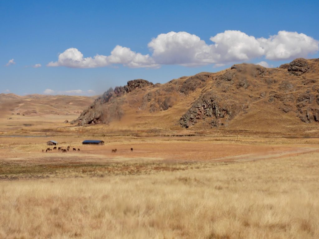 Altiplano Pérou