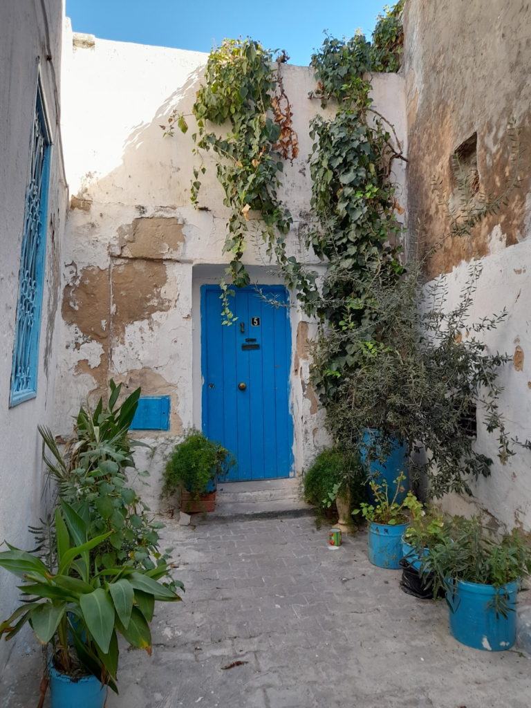 tunis-medina-porte bleue-tunisie