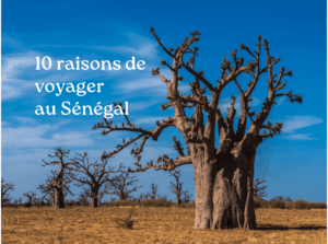 voyager au senegal