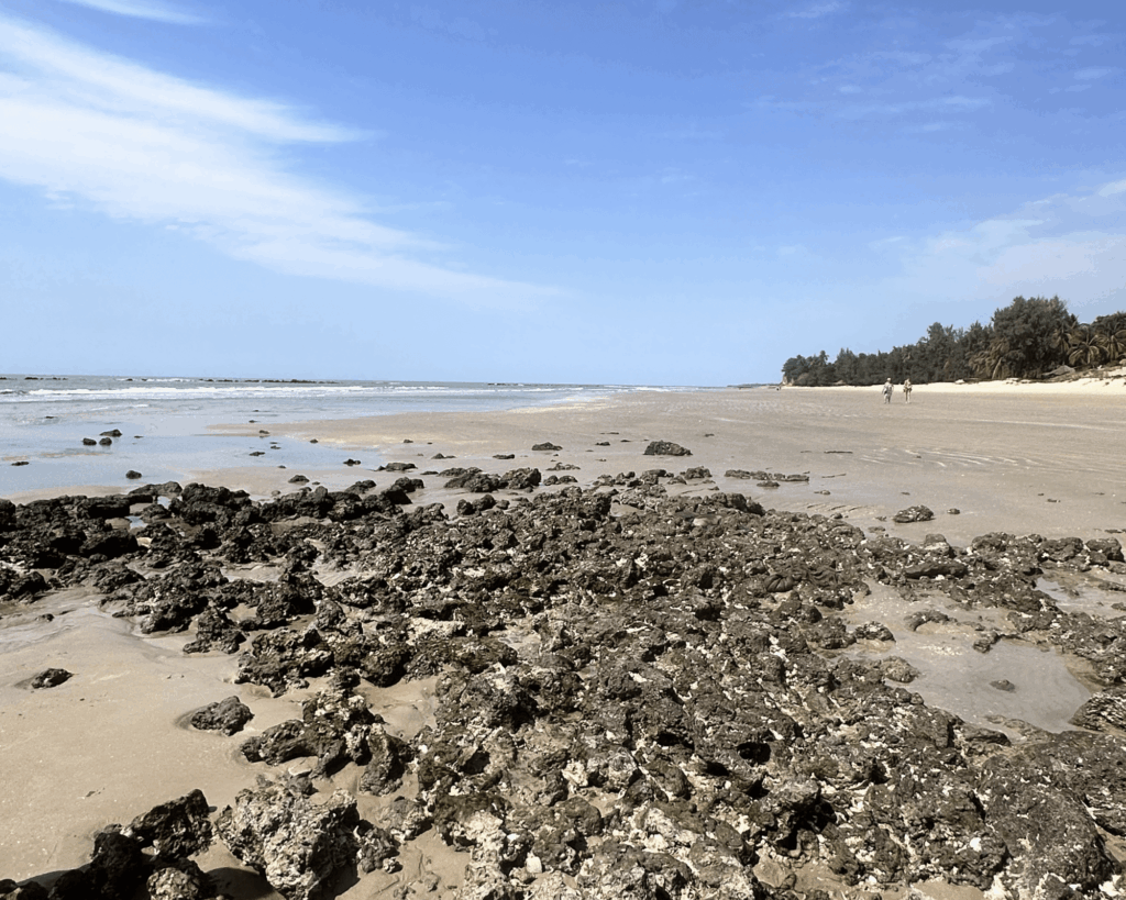 raisons voyager au sénégal