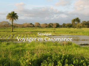 voyager en casamance au sénégal
