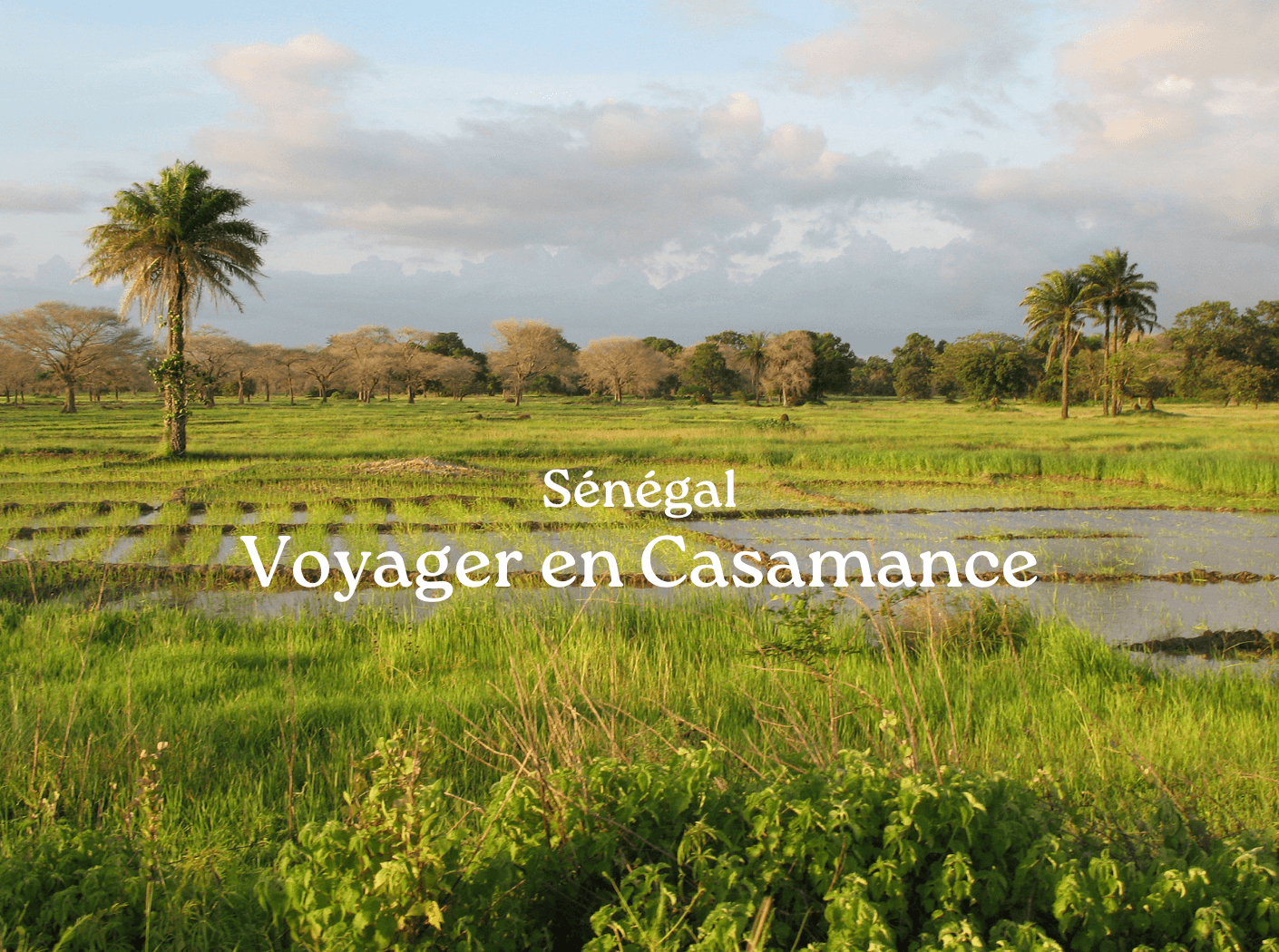 voyager en casamance au sénégal