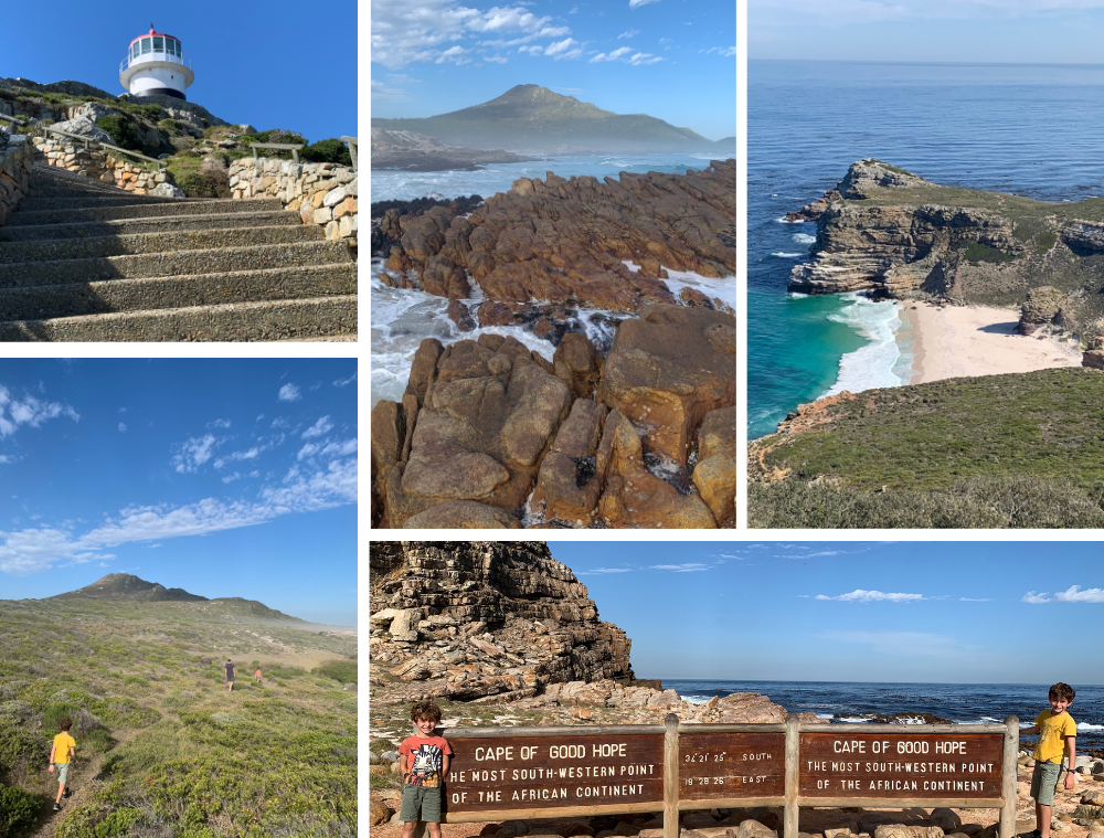 Activités - Cape point - Cape Town - Le Cap - Afrique du sud