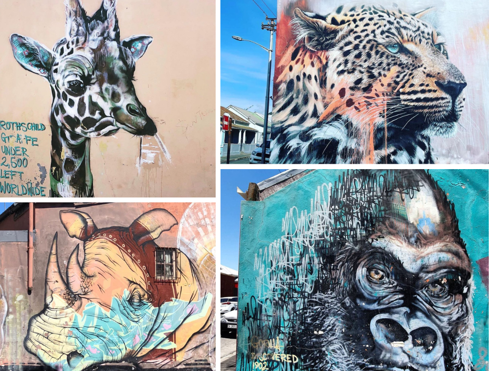 Activités - Woodstock street art - Cape Town - Le Cap - Afrique du sud