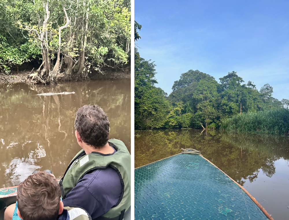 safari-croisiere-kinabatangan-borneo-malaisie