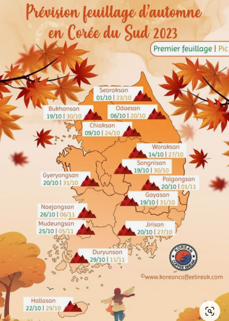 corée-du-sud-feuillage-automne-asie