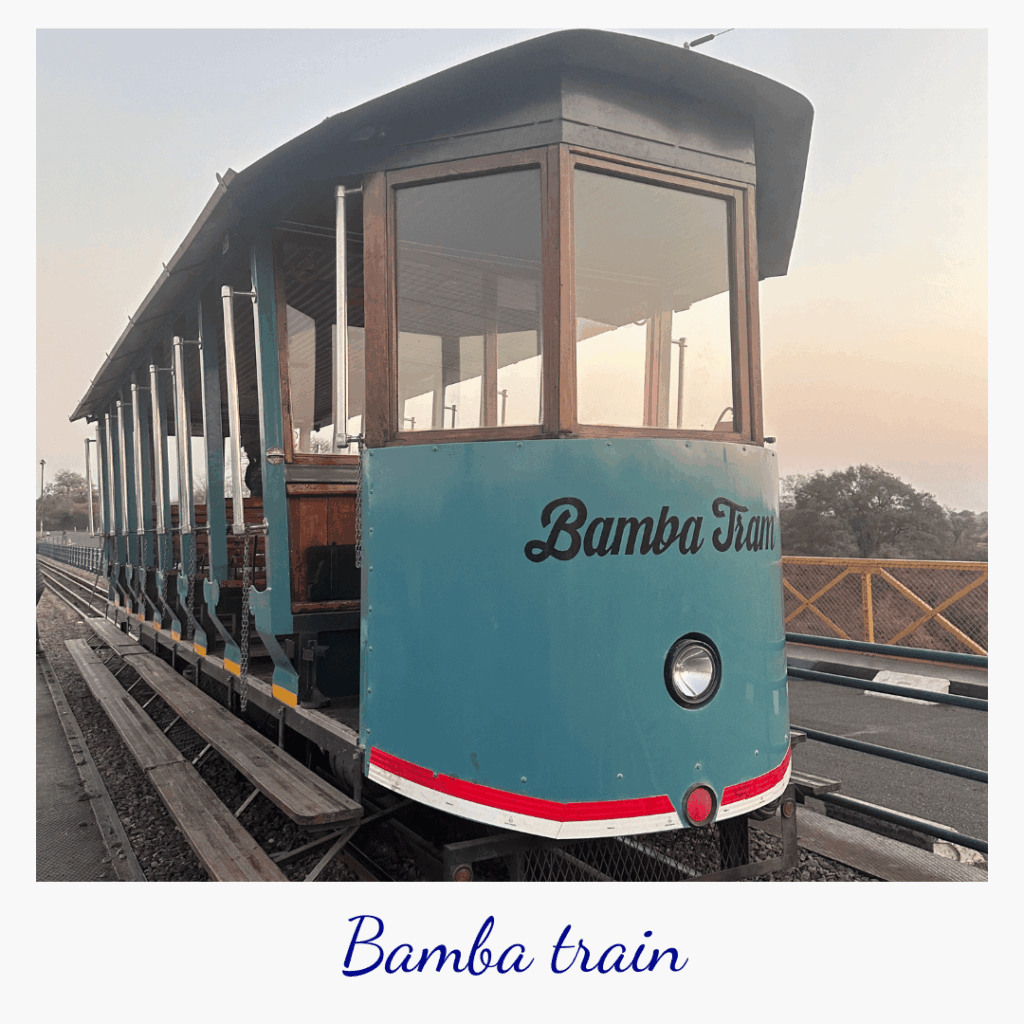 conseils-voyager-zimbabwe-victoria-falls-bamba-train