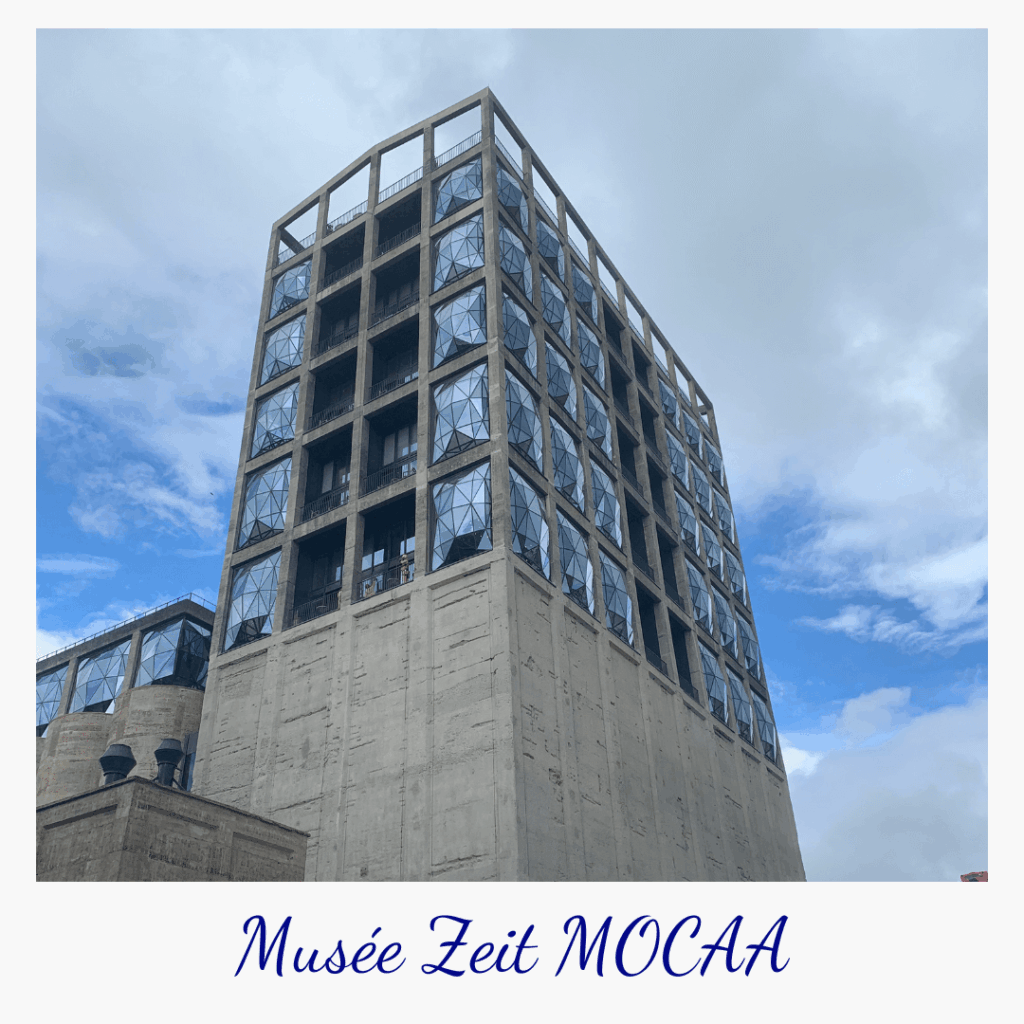 conseils-voyager-afrique-du-sud-capetown-zeit-mocaa