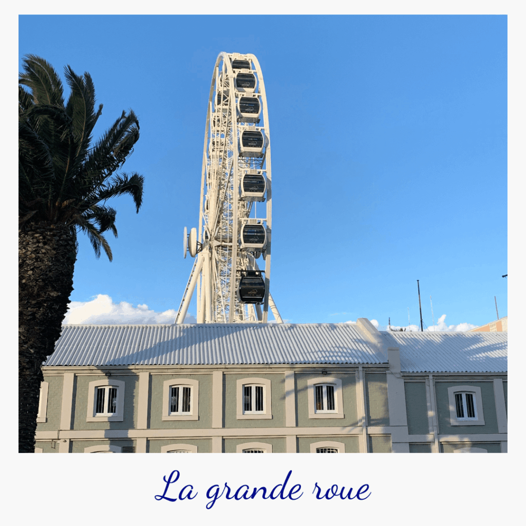 conseils-voyager-afrique-du-sud-capetown-grande-roue