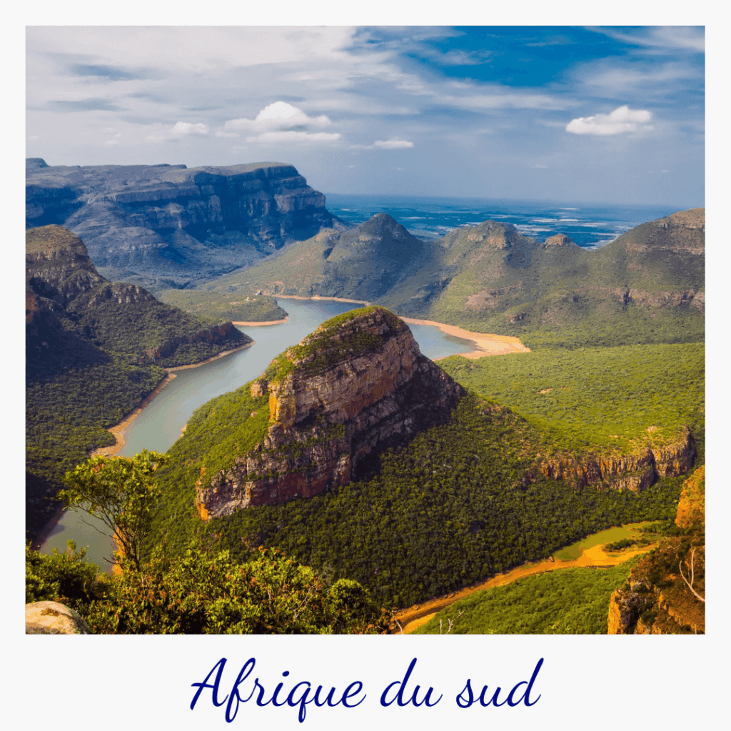 vignette-destination-afrique-du-sud