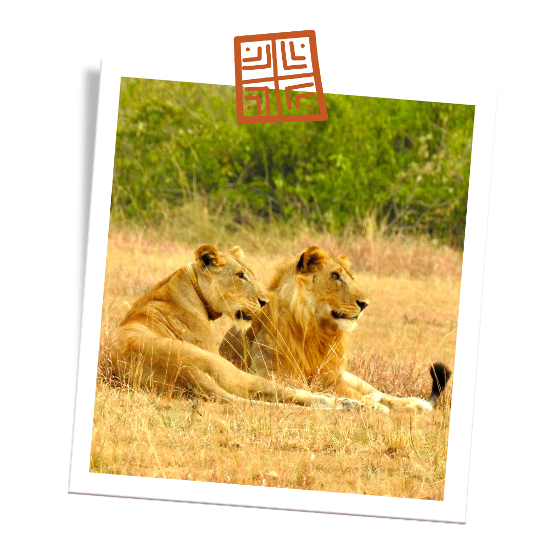 services-travel-planner-afrique