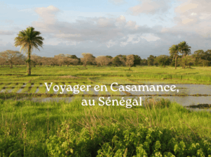 voyager en casamance au sénégal