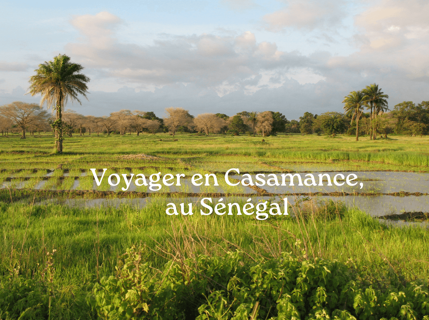 voyager en casamance au sénégal