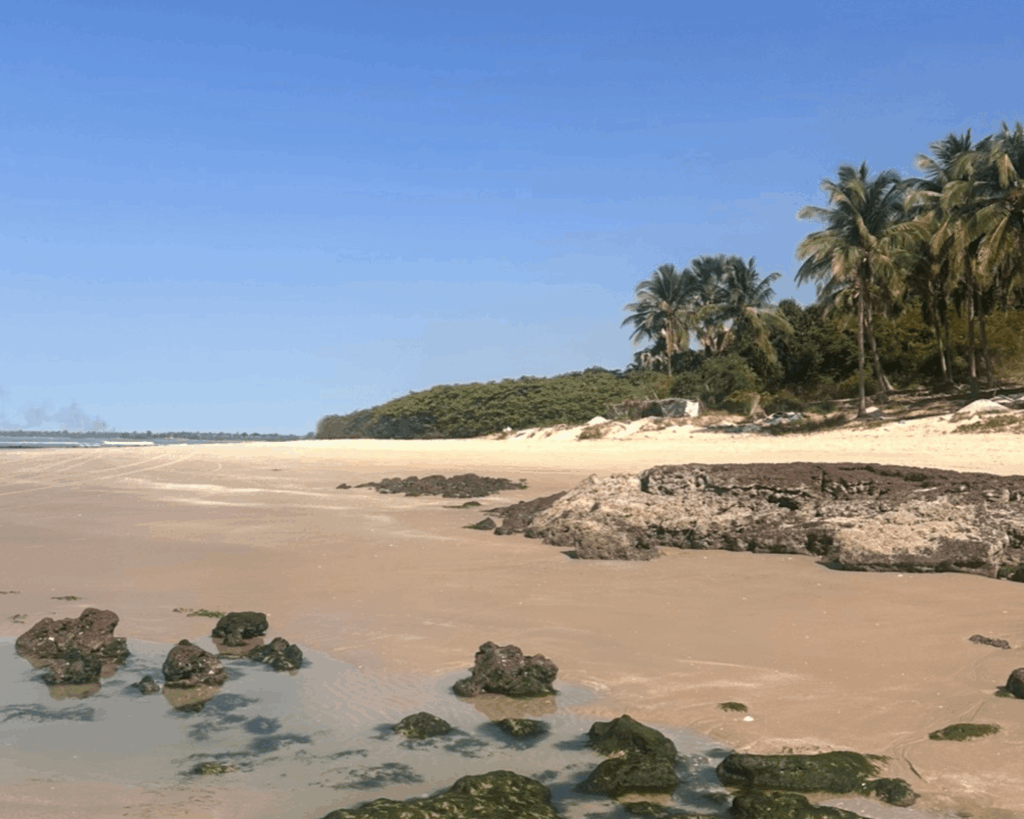 Voyager Casamance plage Cap Skirring Sénégal