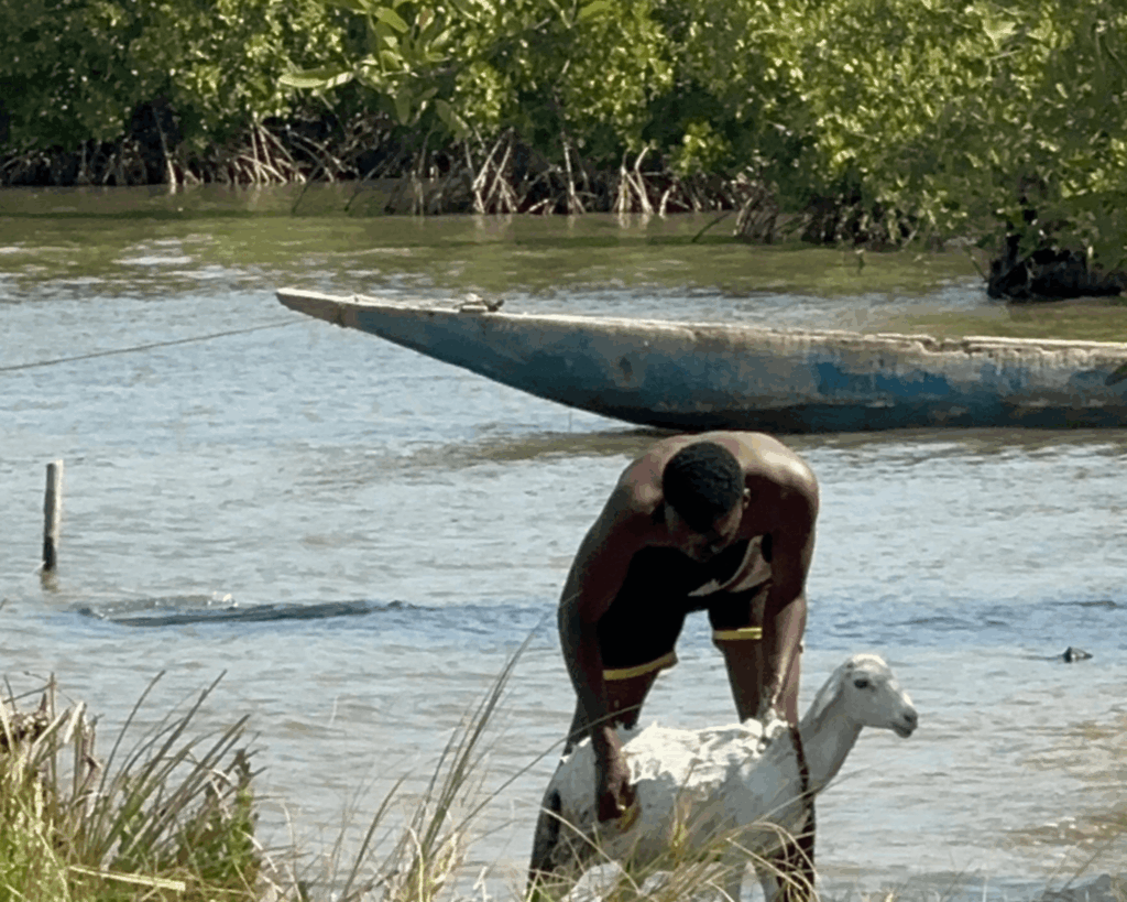 Voyager Casamace fleuve Sénégal