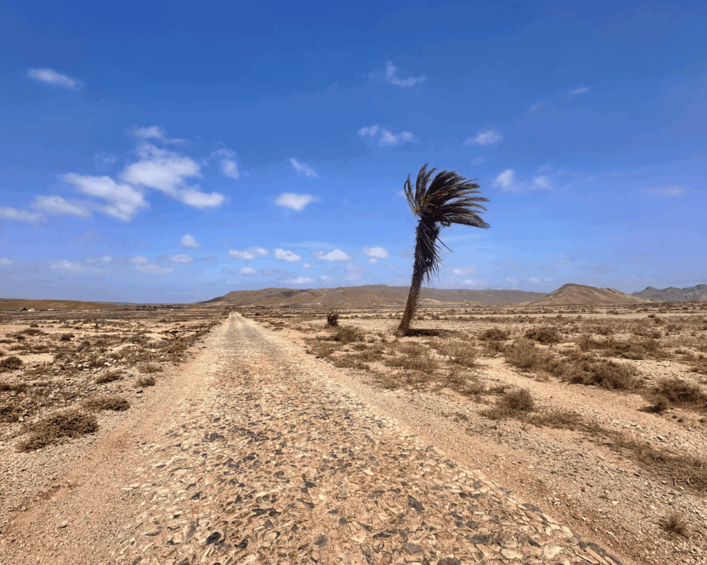 boa-vista-route-66-cap-vert