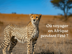 Voyager-en-Afrique-en-été