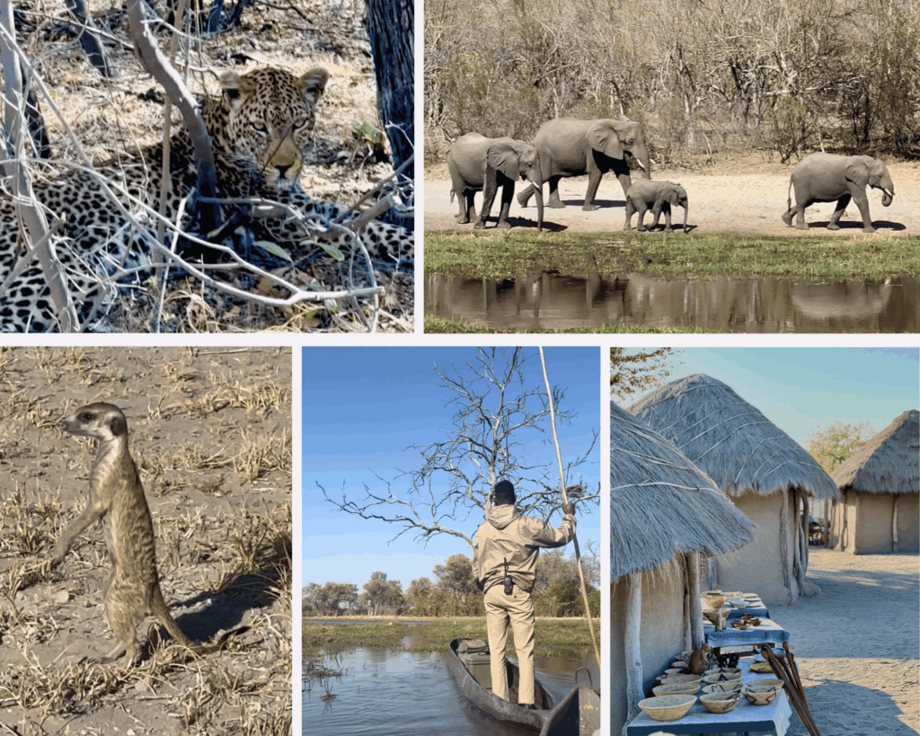 Voyager en Afrique en été Botswana