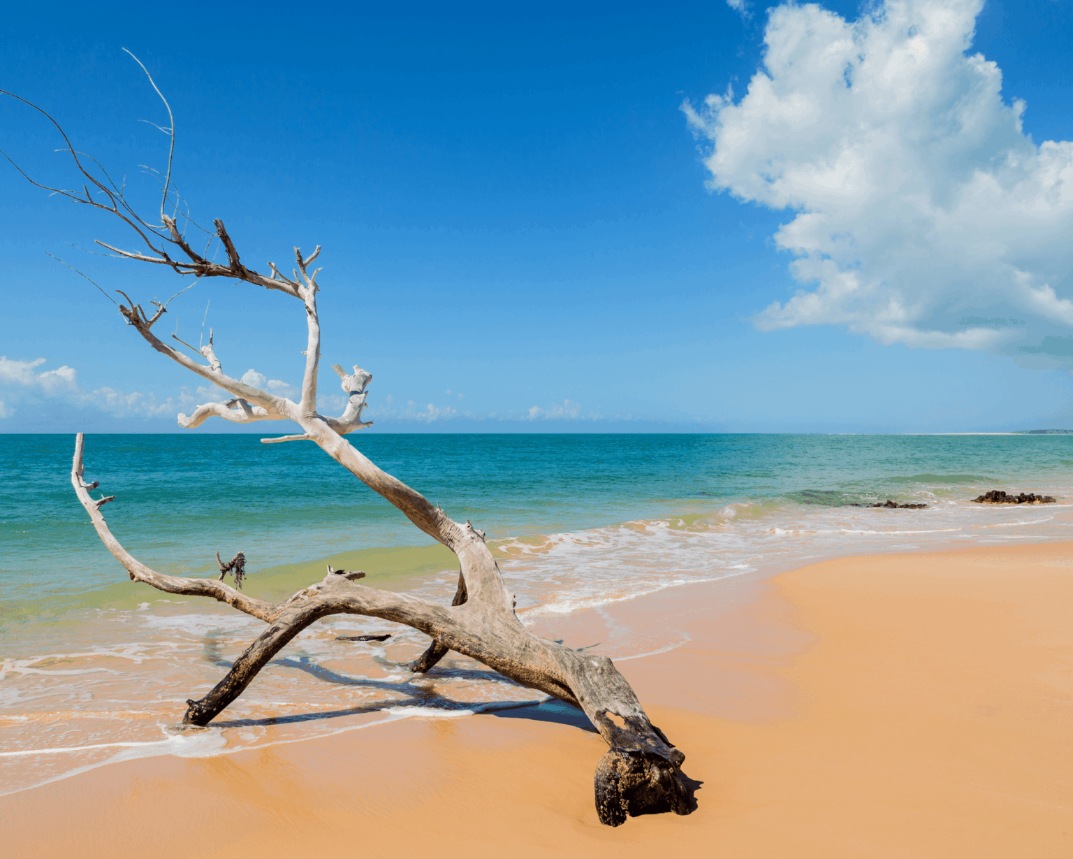 Voyager en Afrique en été Mozambique